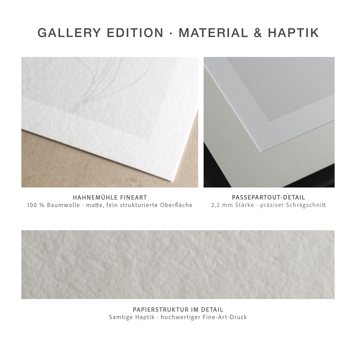 Gallery Edition Materialdetails mit FineArt-Papier und Conservation-Passepartout