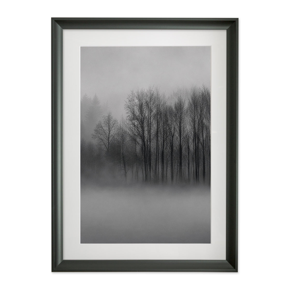 Fading Grove – Gallery Edition mit Rahmenwelt BLACK