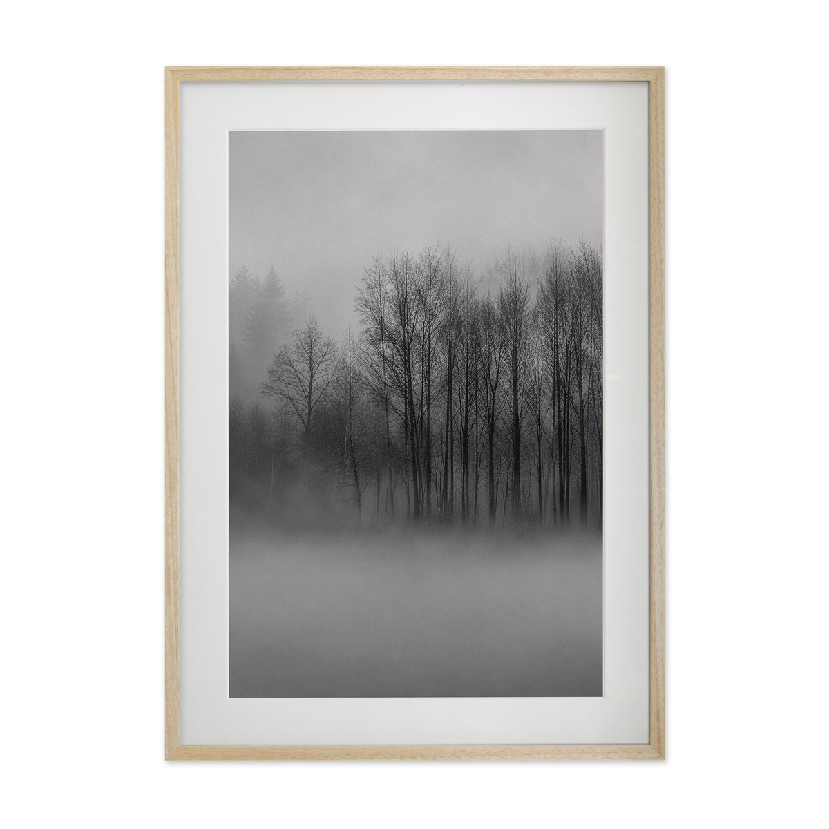 Fading Grove – Gallery Edition mit Rahmenwelt NATURAL
