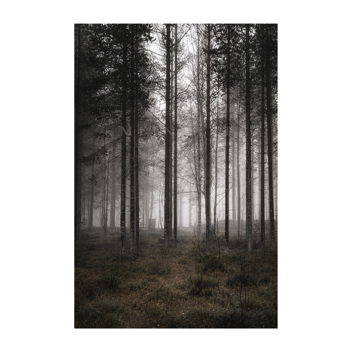 Fine-Art-Motiv Silent Columns der MLineart Gallery Edition