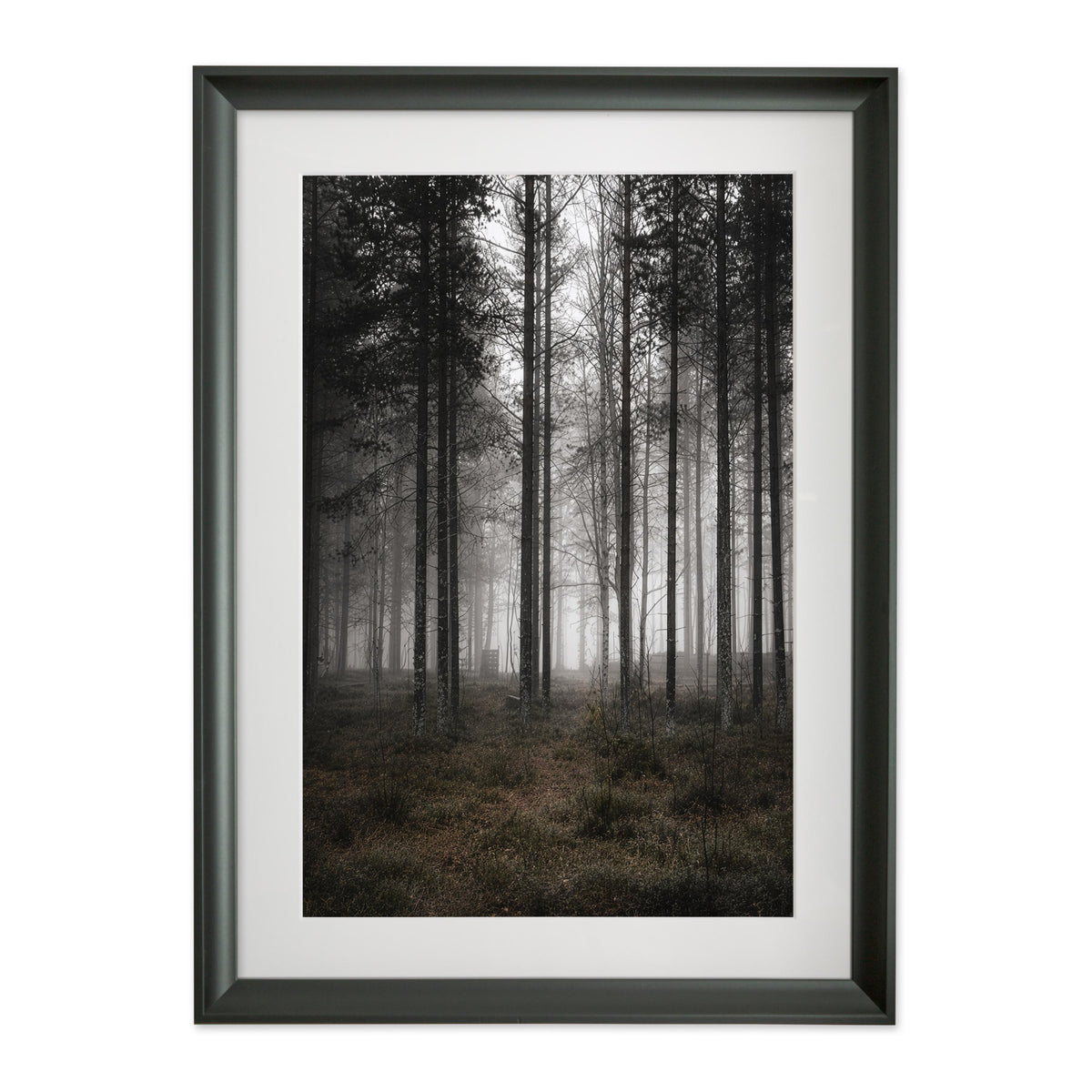 Silent Columns – Gallery Edition mit Rahmenwelt BLACK