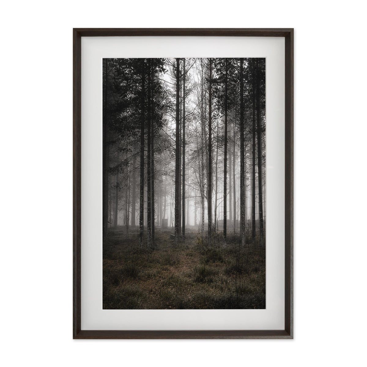 Silent Columns – Gallery Edition mit Rahmenwelt MOCHA