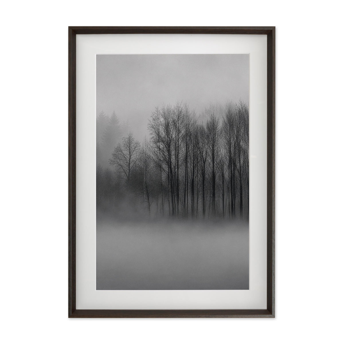 Fading Grove – Gallery Edition mit Rahmenwelt MOCHA